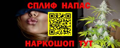винт Будённовск