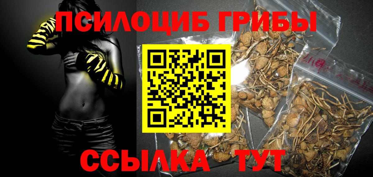 Псилоцибиновые грибы прущие грибы Ревда