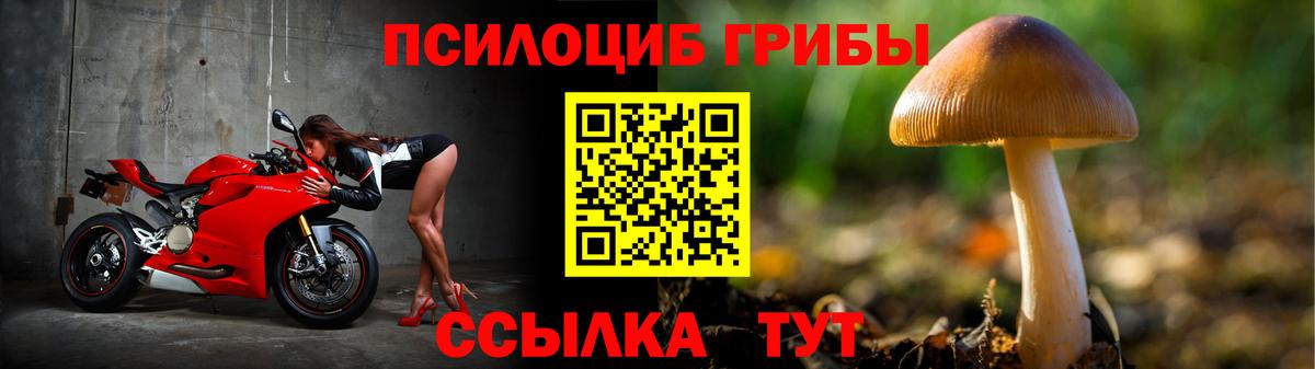 Ревда  Псилоцибиновые грибы прущие грибы  Вход с VPN 